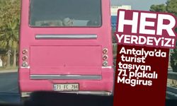 Alanya’da Kırıkkale Plakalı Dolmuş Sürprizi