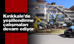 Kırıkkale Belediyesi’nden Doğa Dostu Çalışmalar