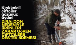 Kırıkkale'de zirai dondan etkilenen çiftçilere destek ödemesi yapılacak!