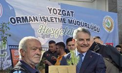 110 bin fidan toprakla buluşacak