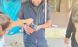 Boruya sıkışan kuşu itfaiye kurtardı