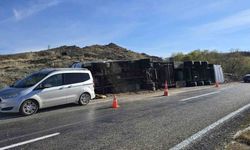 Devrilen tırdaki 2 inek telef oldu