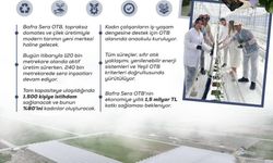 Kadın eliyle yeşeren tarım: Bafra Sera OTB, yıllık 1,5 milyar liralık katkı sunacak