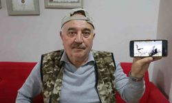 Kanka olan kedi ve tilki dikkat çekti