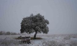 Yüksek kesimlere mevsimin ilk karı yağdı