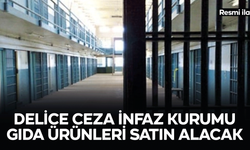 DELİCE KAPALI VE AÇIK CEZA İNFAZ KURUMU GIDA ÜRÜNLERİ SATIN ALACAK
