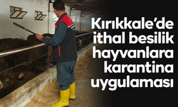 Kırıkkale’de İthal Besilik Hayvanlara Karantina Uygulaması