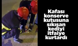 Kafası konserve kutusuna sıkışan kediyi itfaiye kurtardı