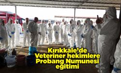 Kırıkkale’de Veteriner hekimlere Probang Numunesi eğitimi