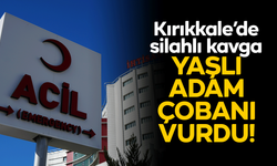 Kırıkkale'de hayvan otlatma meselesi silahlı kavgaya dönüştü: Yaşlı adam çobanı vurdu