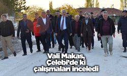 Vali Makas, Çelebi’de ki çalışmaları inceledi