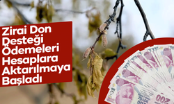 Zirai Don Desteği Ödemeleri Hesaplara Aktarılmaya Başladı