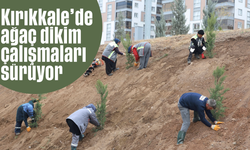 Kırıkkale Belediyesi’nden yeşil alan çalışmaları