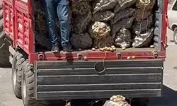 17 milyon ceza ön görülmüştü, yaptığı yanına kar kaldı