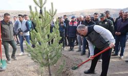 18 bin 500 fidan toprakla buluştu