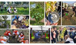 81 ildeki okullarda fidanlar, ‘Atatürk ve Vatan Sevgisi’ mesajlarıyla toprağa bırakıldı