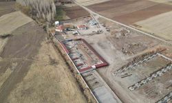 Başkan Metin’den sokak hayvanları için örnek hizmet