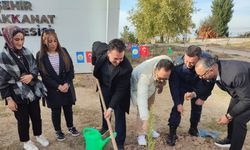 Fidanlar toprakla buluştu