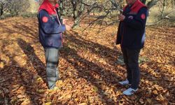 Kirazında saha incelemeleri devam ediyor