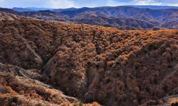 Mest eden sonbahar manzaraları
