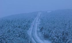 Mevsimin ilk karı yağdı