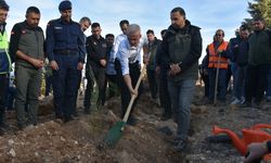 Öğretmenler Günü anısına fidanlar toprakla buluşturuldu