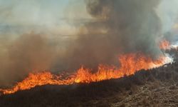 Sazlıklar alev alev yandı