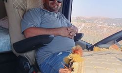 Tır şoförü aracında ölü bulundu