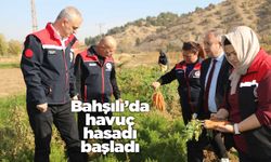 Bahşılı’da havuç hasadı başladı