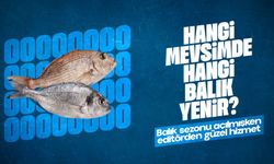 Hangi mevsimde hangi balık yenir? Balık yeme rehberi