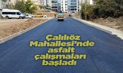 Çalılıöz Mahallesi’nde asfalt çalışmaları başladı
