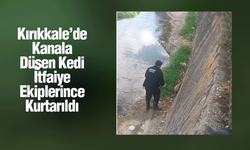 Kırıkkale’de Kanala Düşen Kedi İtfaiye Ekiplerince Kurtarıldı