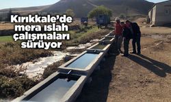 Kırıkkale’de mera ıslah çalışmaları sürüyor