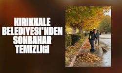 Kırıkkale Belediyesi’nden sonbahar temizliği