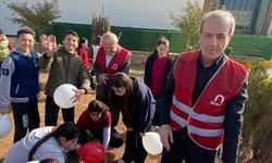 Yahşihan’da “Türkiye Yeşeriyor, Gazze Güçleniyor” fidan dikimi etkinliği