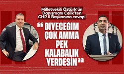 Öztürk’ün Danışmanı Çelik’ten CHP’ye cevap! “Diyeceğim çok amma da pek kalabalık yerdesin”