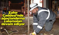 Zafer Caddesi’nde ağaçlandırma çalışmaları devam ediyor