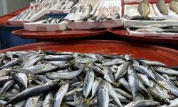 Geciken kış balığı da vurdu