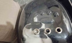 Havalandırma boşluğuna düşen kediyi itfaiye kurtardı