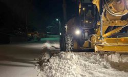Kapalı köy ve ilçe yolu bulunmuyor