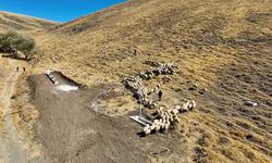 Meralara yeni hayvan içme suyu alanı kazandırıldı