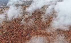 Sis ve kızıla bürünen ormanların buluşması mest etti