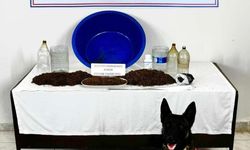 Uyuşturucu operasyonu: 1 gözaltı