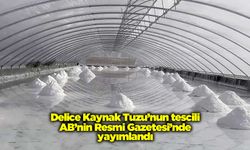 Delice Kaynak Tuzu’nun tescili AB’nin Resmi Gazetesi’nde yayımlandı