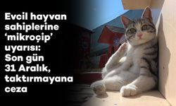 Evcil hayvan sahiplerine "mikroçip" uyarısı: Son gün 31 Aralık, taktırmayana ceza