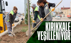 Kırıkkale Belediyesi, şehir genelinde fidan dikim çalışması yürütüyor