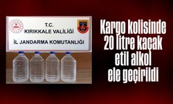 Kargo kolisinde 20 litre kaçak etil alkol ele geçirildi