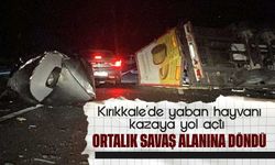 Yaban hayvanı kazaya yol açtı: Devrilen tırın üzerindeki demir plaka başka bir tıra çarptı