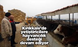 Kırıkkale’de yetiştiricilere hayvancılık desteği devam ediyor