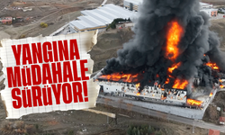 Kırıkkale'deki kimya fabrikasındaki yangına müdahale sürüyor